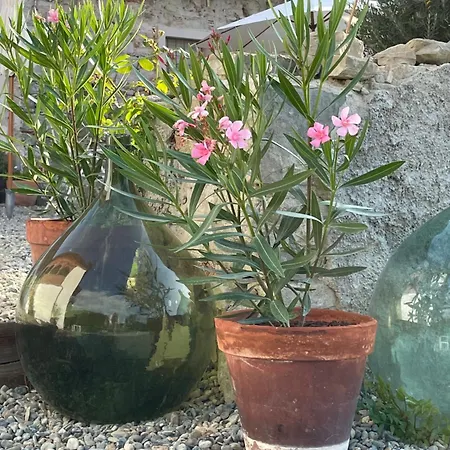 아파트 Montecastello Di La